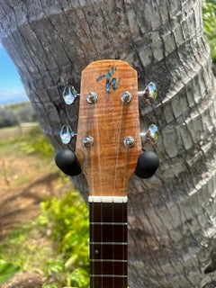5A Curly Koa, Gloss, Ebony, Grover Tuners