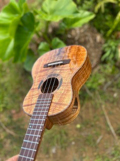 5A Curly Koa, Gloss, Ebony, Grover Tuners