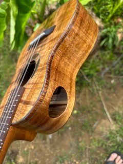 5A Curly Koa, Gloss, Ebony, Grover Tuners