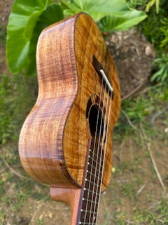 5A Curly Koa, Gloss, Ebony, Grover Tuners