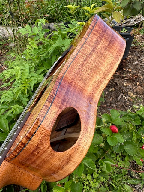 Custom Maui Tenor Ukulele by Jesse Mendes – 5A Curly Koa + Ocean Blue Detail