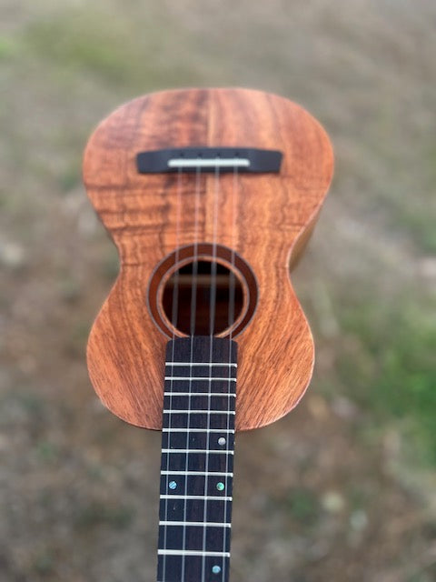 chocolate curly koa concert