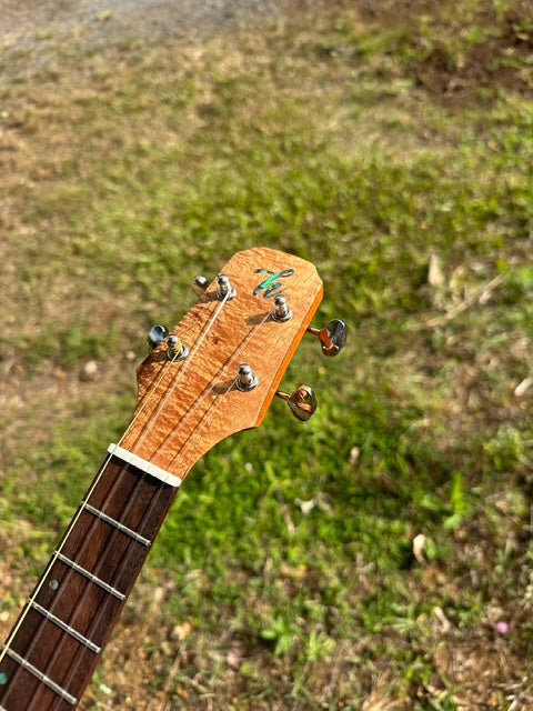 spalted curly koa tenor with arm bevel