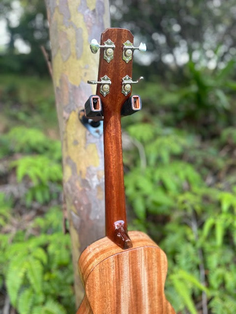 Maui built tenor ukulele