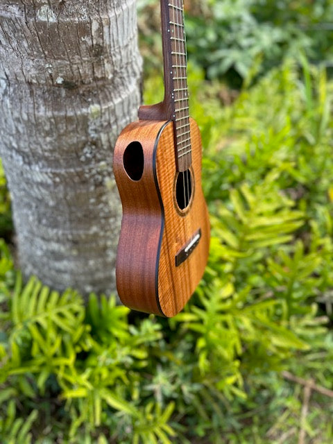 curly Koa tenor 