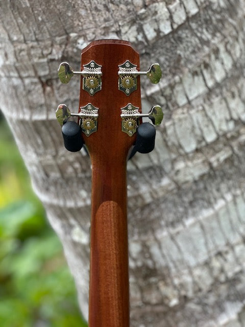 Curly koa tenor with a spruce top and shell binding