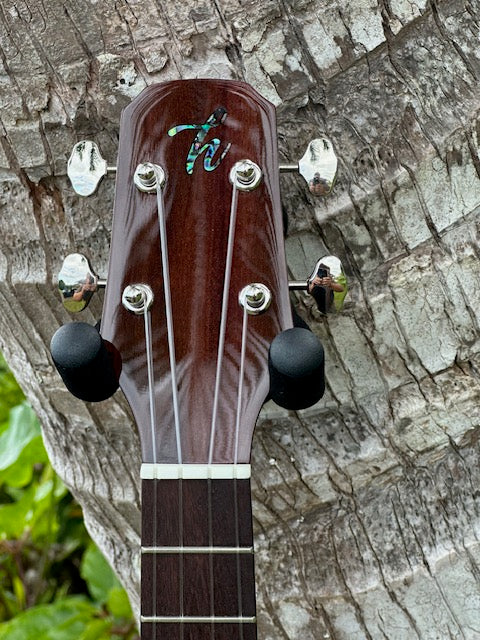 Curly koa tenor with a spruce top and shell binding