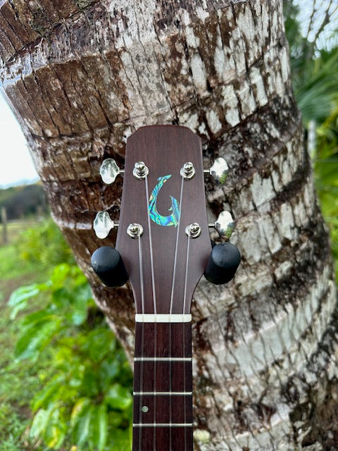 All Koa tenor ukulele