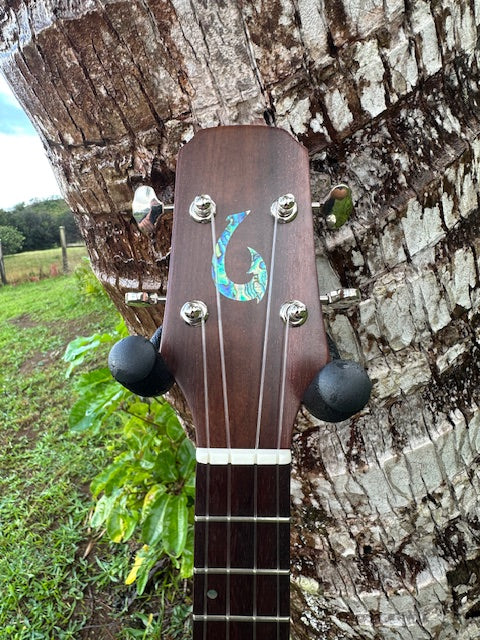 All Koa tenor ukulele