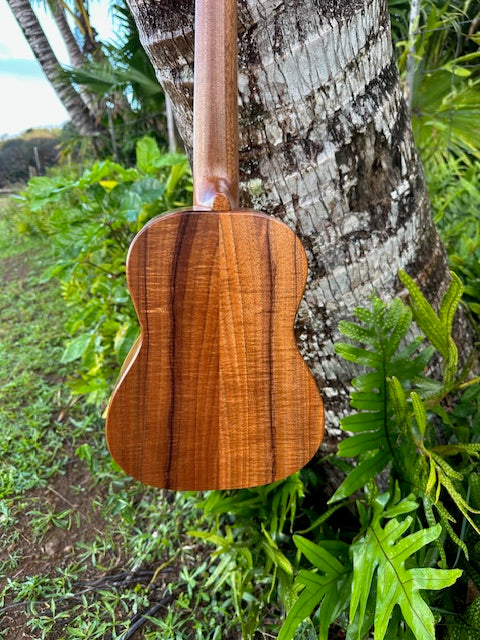 All Koa tenor ukulele