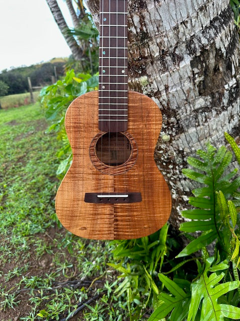 All curly Koa tenor ukulele