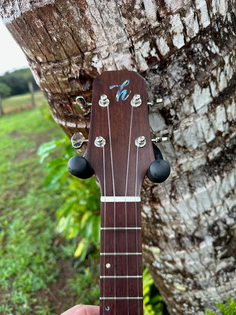 All curly Koa tenor ukulele