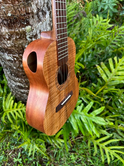 All curly Koa tenor ukulele