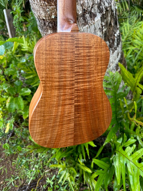 All curly Koa tenor ukulele