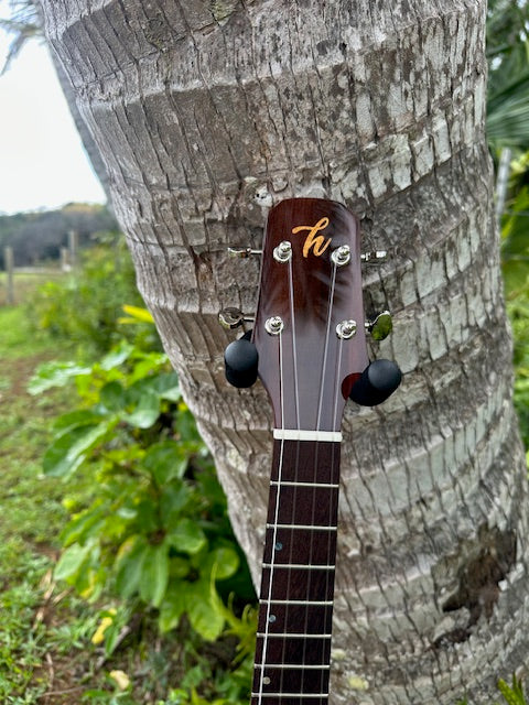 4A Curly Koa Tenor Ukulele with 24K gold inlay