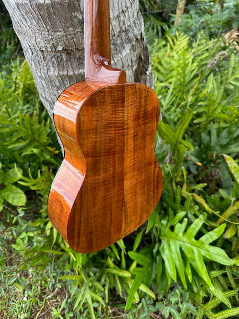 4A Curly Koa Tenor Ukulele with 24K gold inlay