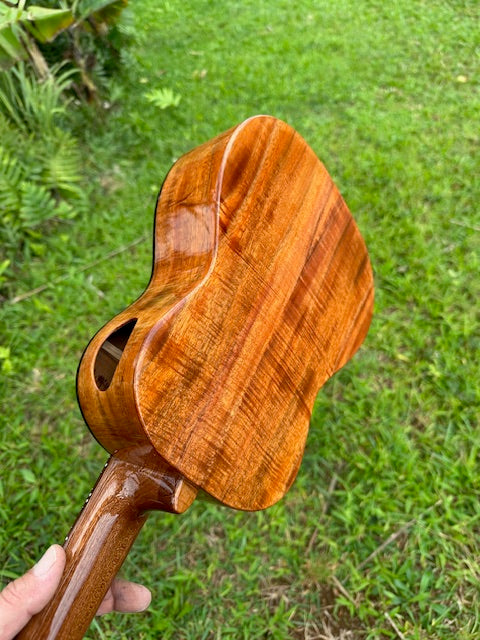 4A Curly Koa Tenor Ukulele with 24K gold inlay