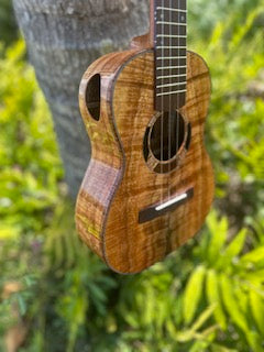 5A Curly Koa, Gloss, Ebony, Grover Tuners