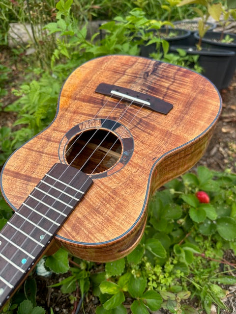 Custom Maui Tenor Ukulele by Jesse Mendes – 5A Curly Koa + Ocean Blue Detail