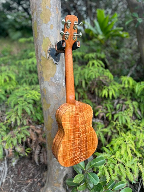 5A Curly Koa, Gloss finish with shell inlays