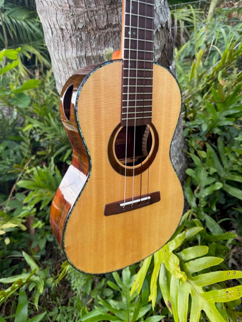 Spruce top milo B/S Baritone with shell