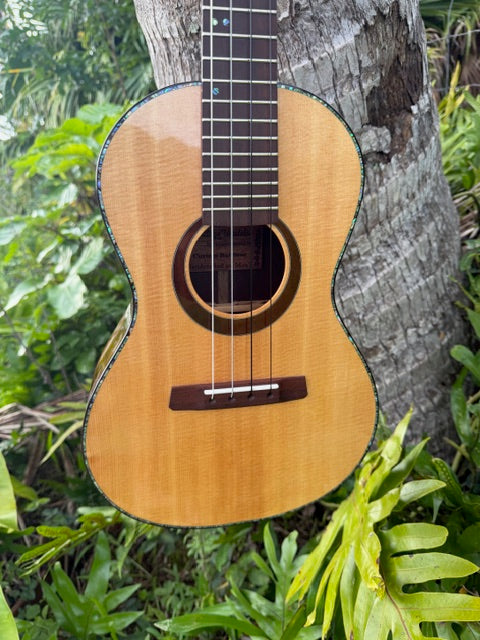 Spruce top milo B/S Baritone with shell