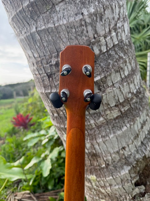 Spruce top milo B/S Baritone with shell
