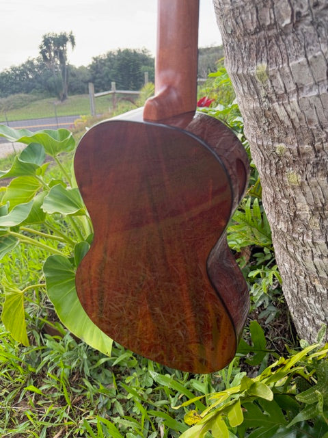 Spruce top milo B/S Baritone with shell