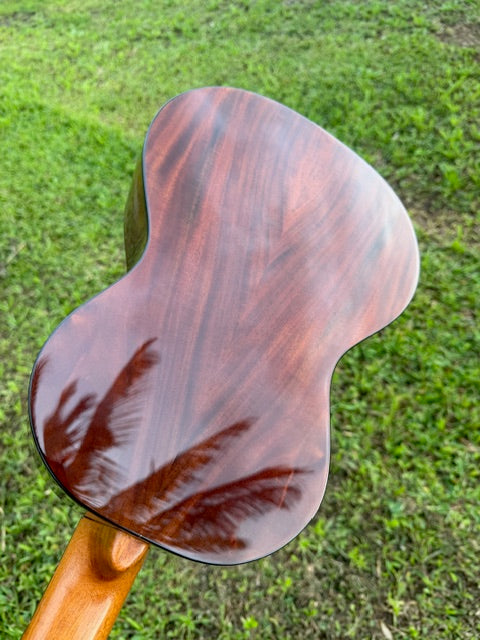 Spruce top milo B/S Baritone with shell