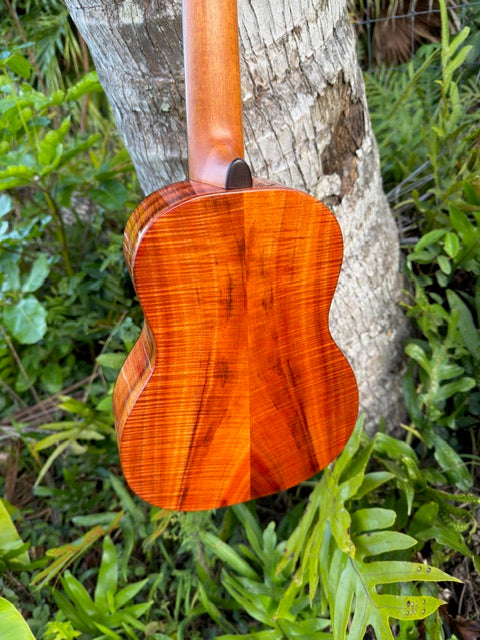 5A curly koa tenor