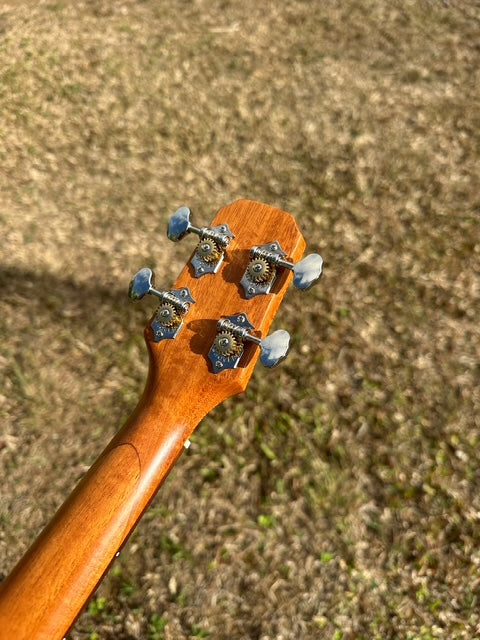 spalted curly koa tenor with arm bevel